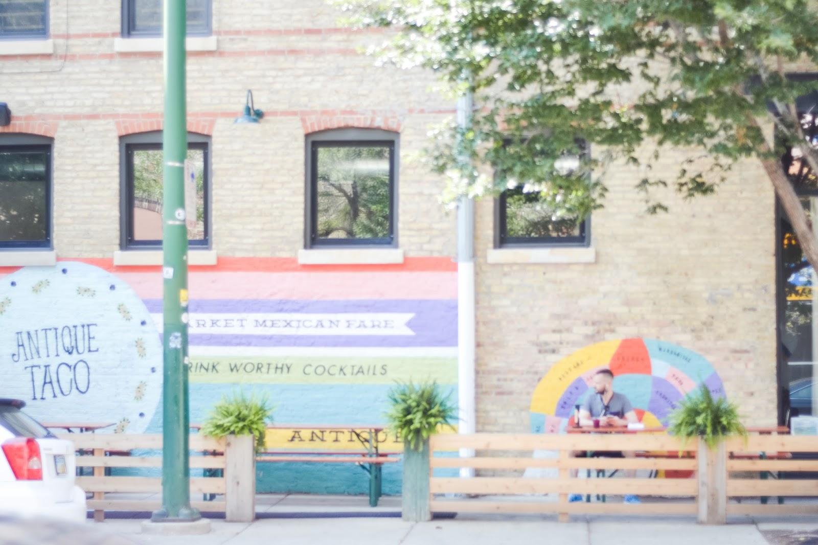 TLP'S CHICAGO GUIDE WICKER PARK THE LOLLY PROJECT