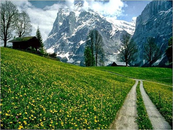 نقره لعرض الصورة في صفحة مستقلة