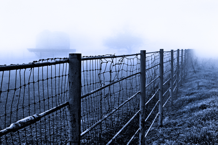 Monochrome Mini Competition #580