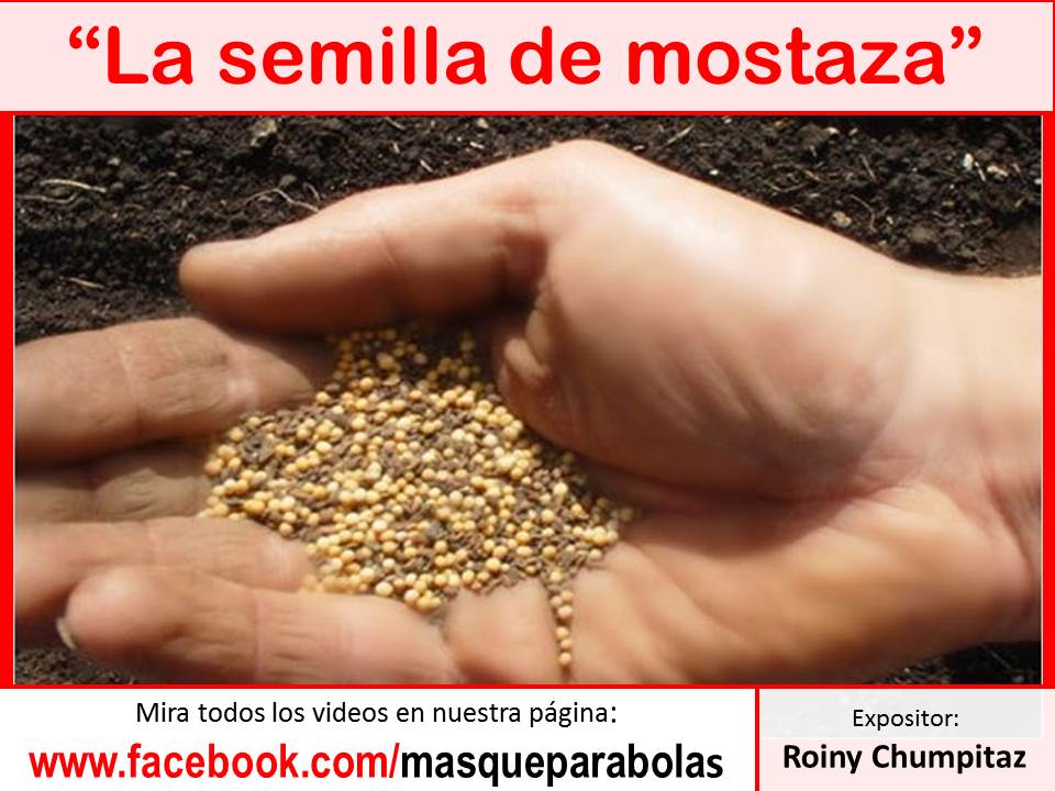 La semilla de mostaza