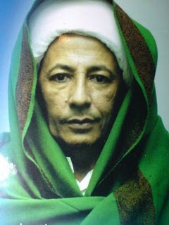 Habib Lutfi