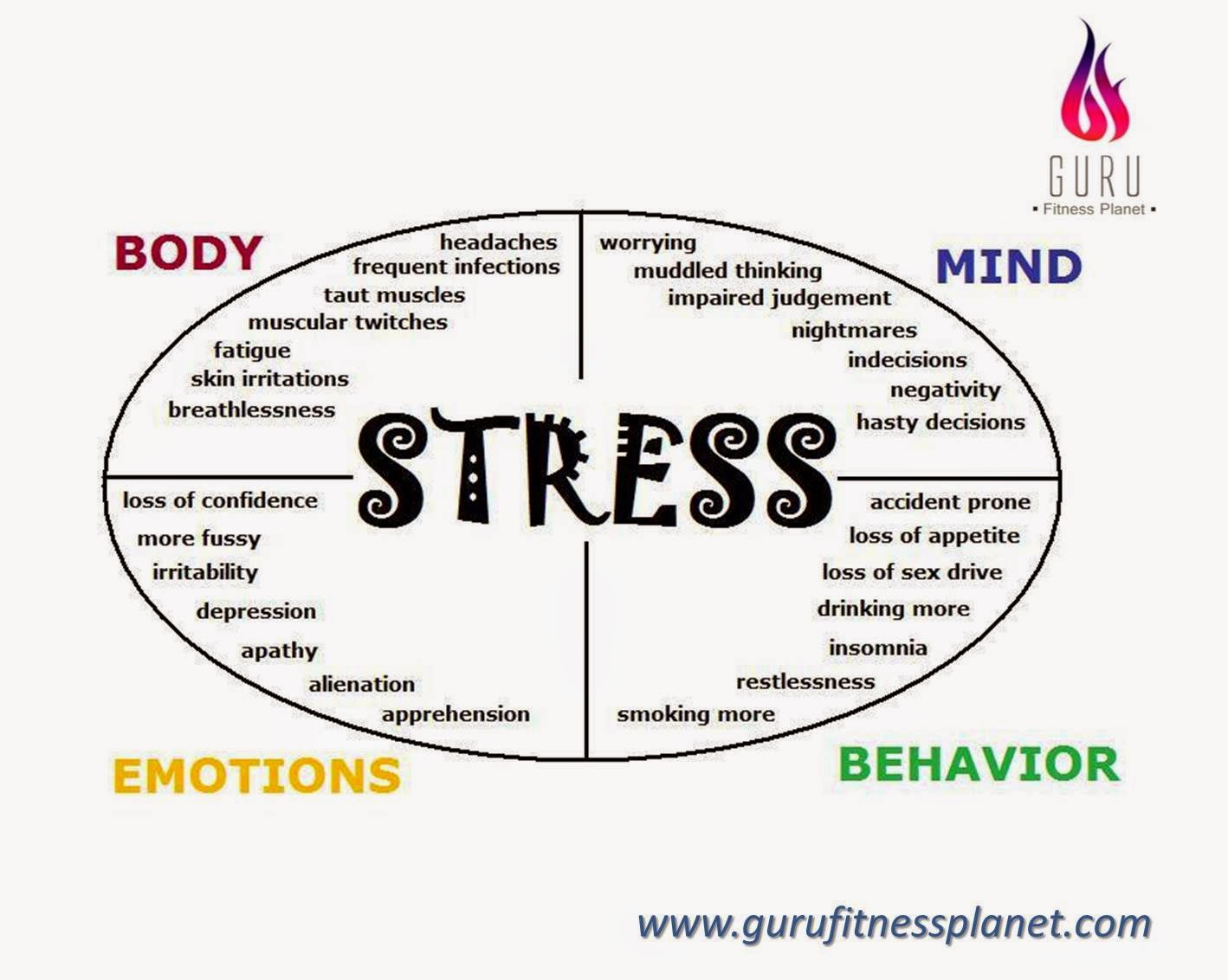 music can cure stress essay music can cure stress essay