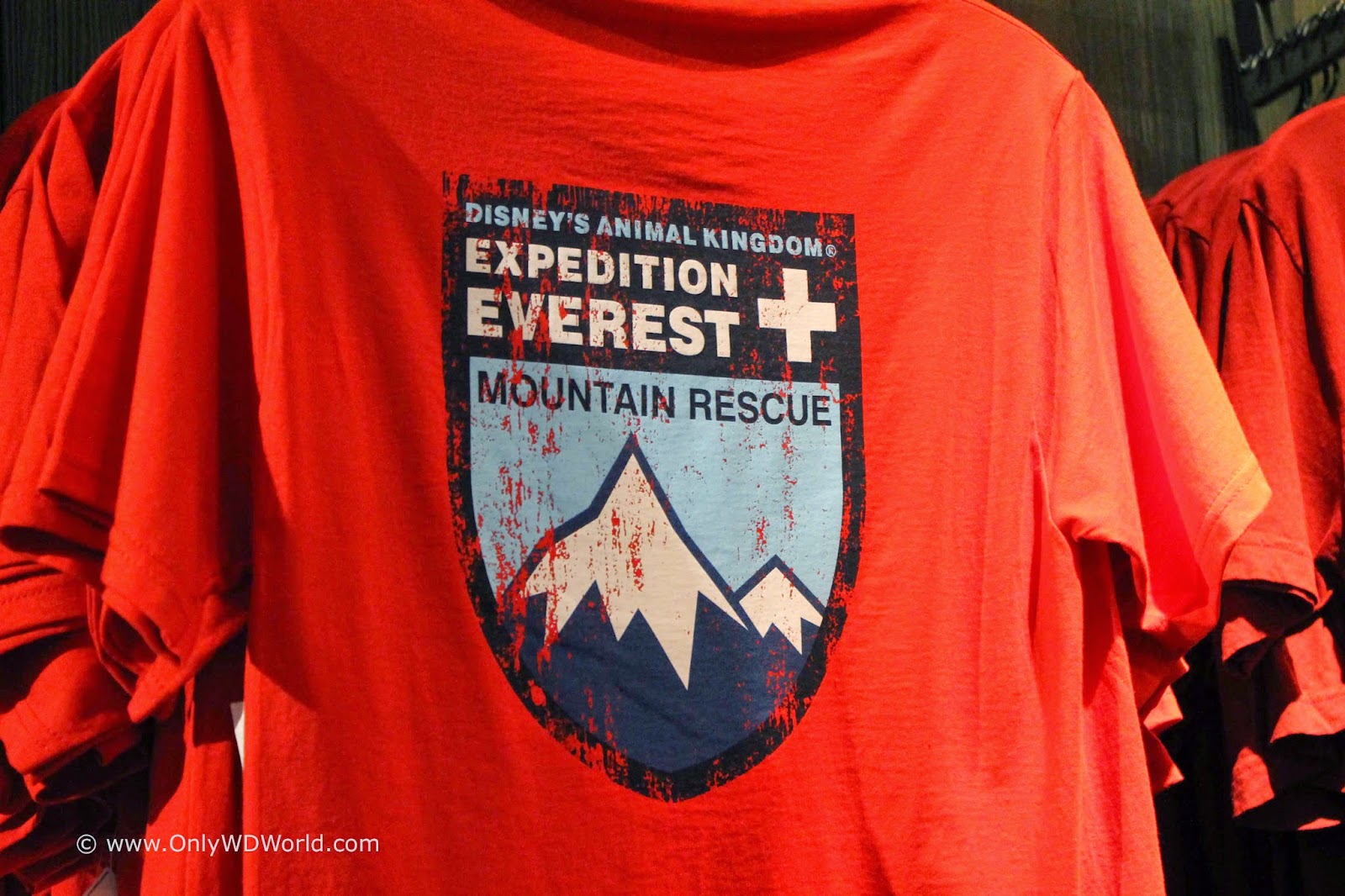 What To Wear For The Expedition Everest Fans At Disney's Animal Kingdom