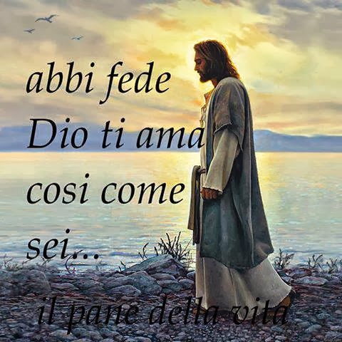 SONO GESU, CAMMINIAMO INSIEME VUOI?: Il Vangelo del ...