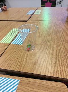 Tales from Fifth: First Week of School Activity- Saving Fred