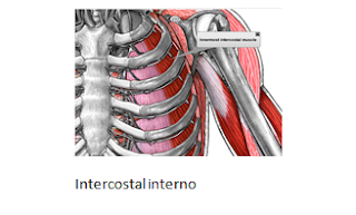 Sistemas en ciencias de la salud y Fisioterapia : septiembre 2013