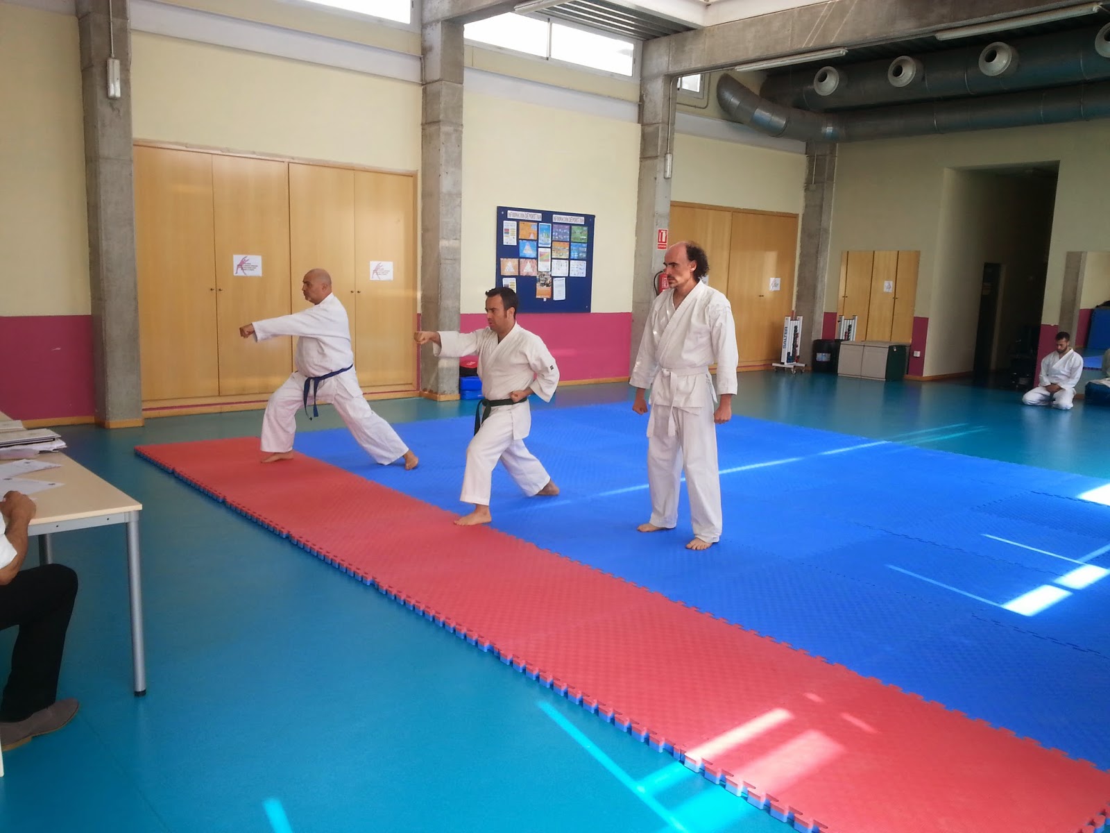 VALENCIA KARATE valencia karate: