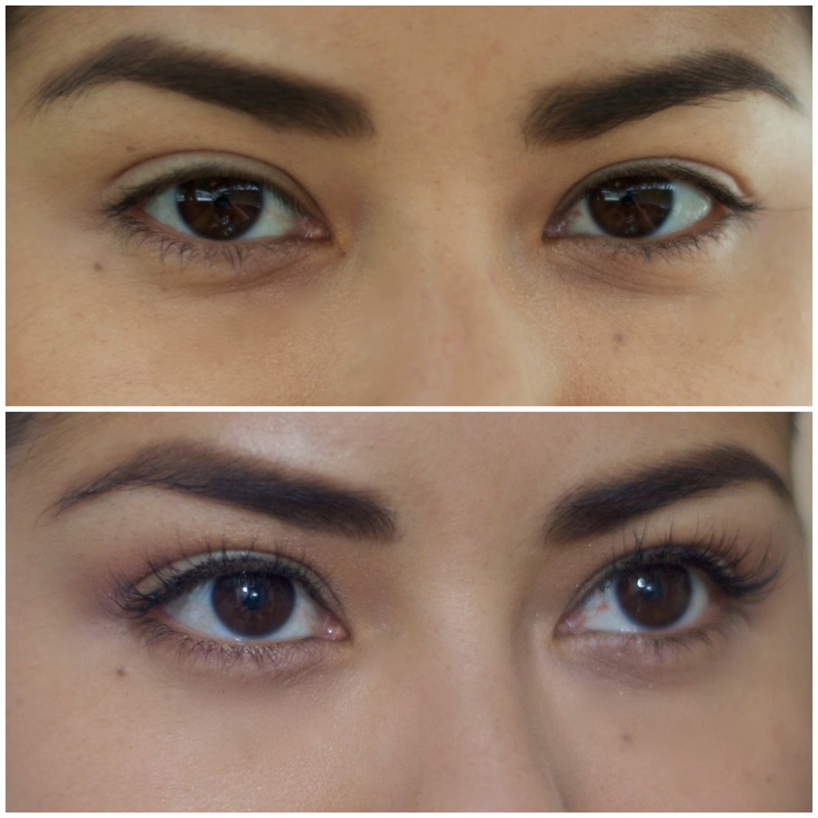 Blink Lash Boutique Eyelash Extensions Lil bits of Chic