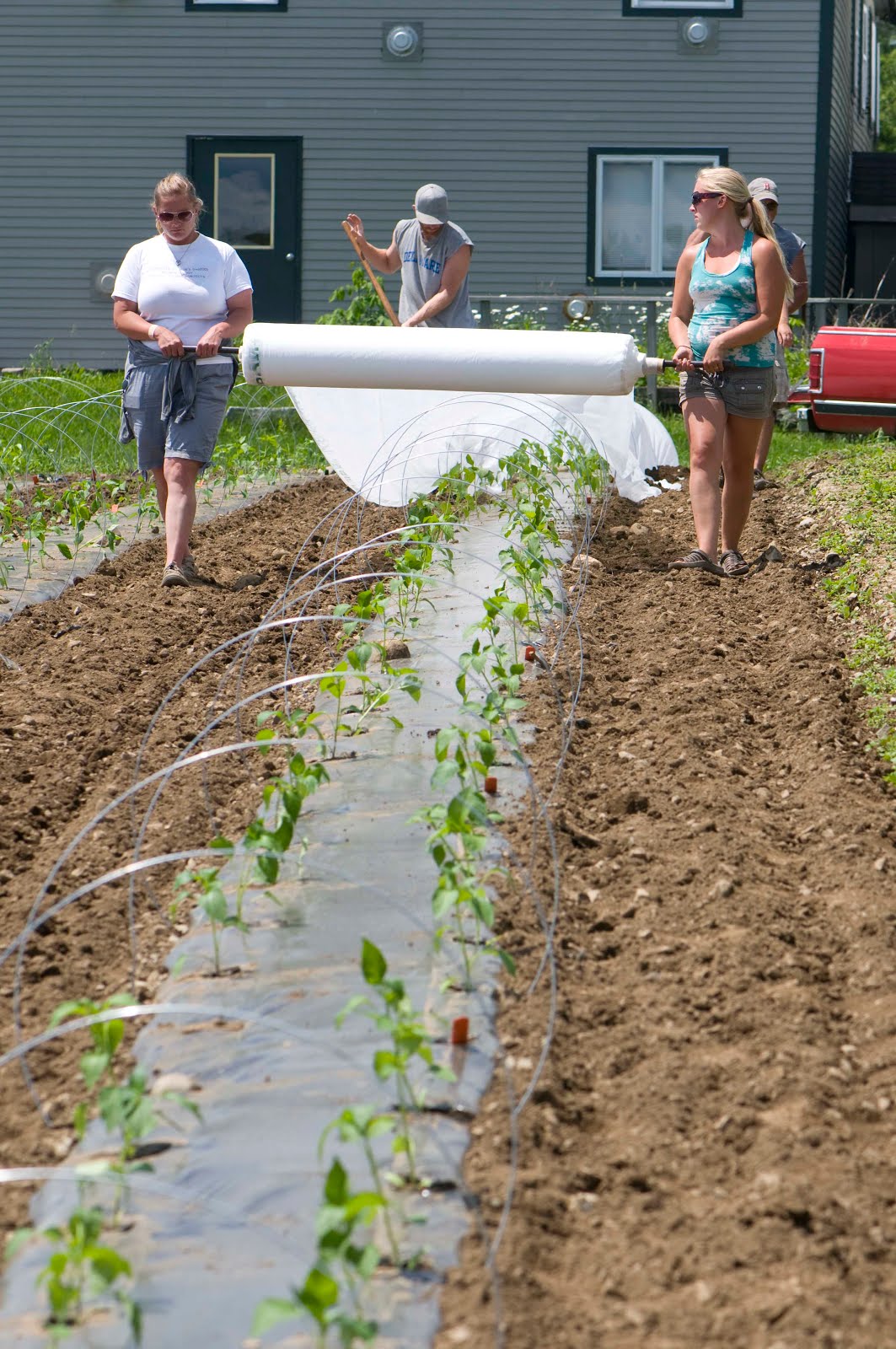 Growing Ideas with Johnny's Selected Seeds