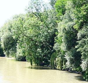 Auf Fotosafari am Isar-Ufer bei Freising