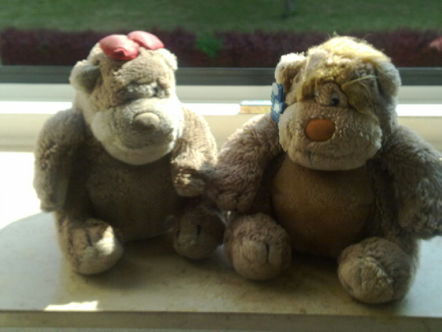 Tel 02323 54095 Fax 02323 13228 Sonntagsnachrichten