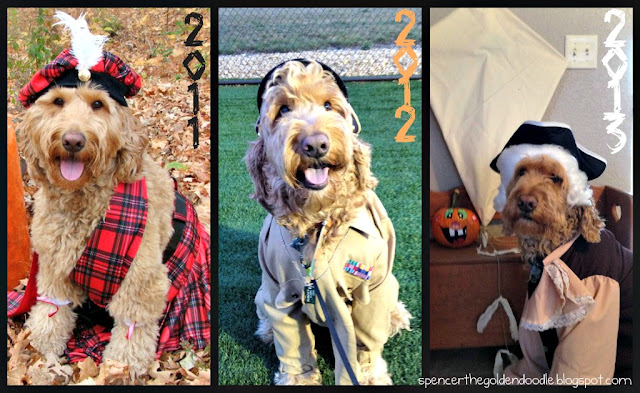 Spencer The Goldendoodle Costumes Through Years Here Are My Past Costume And Place I Made It In The Contest 2008 Doctor 5th 2009 Farmer 1st 2010 Pizza Maker