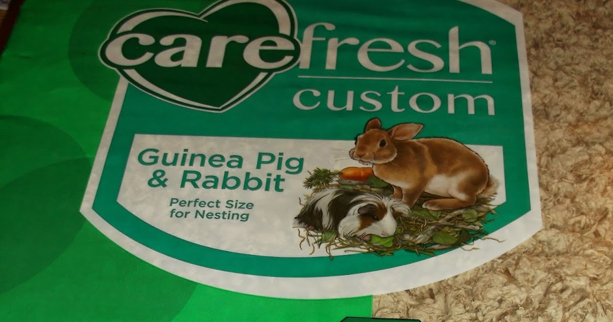 Missys Product Reviews Carefresh Custom Guinea Pig and Rabbit Bedding
