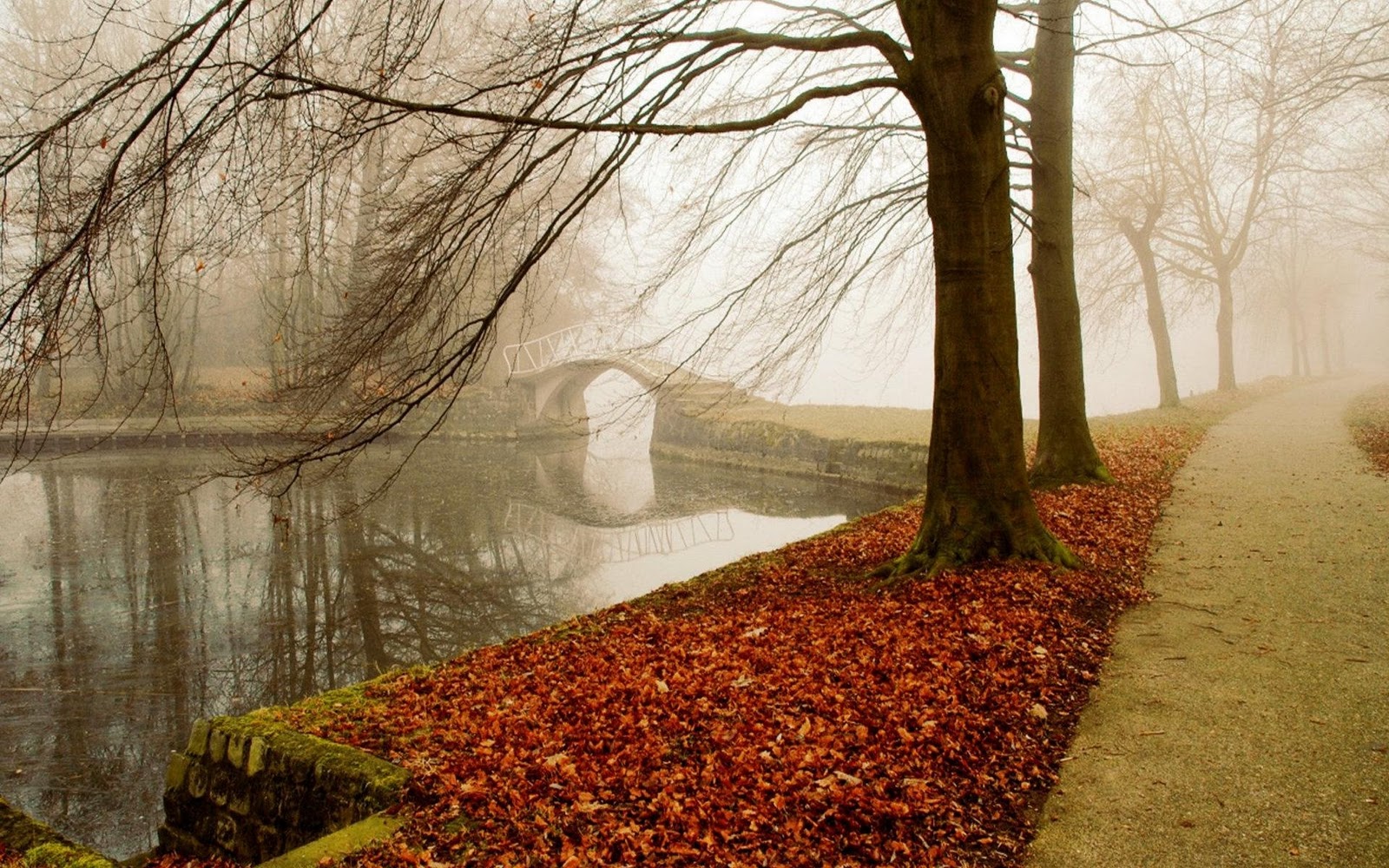 http://2.bp.blogspot.com/-rhvLNPxhfDg/Tu75VNXlTjI/AAAAAAAAB0Q/PdgR5AsUvNk/s1600/Best-Autumn-Photo-PC-Desktop-wallpapers-picture-HD-collection-20.jpeg