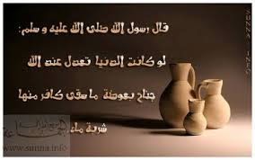 خواطـــر الفيلســـــوف الشـــاعر 14 قال الفيلسوف الحب والزهد هل يجتمعان