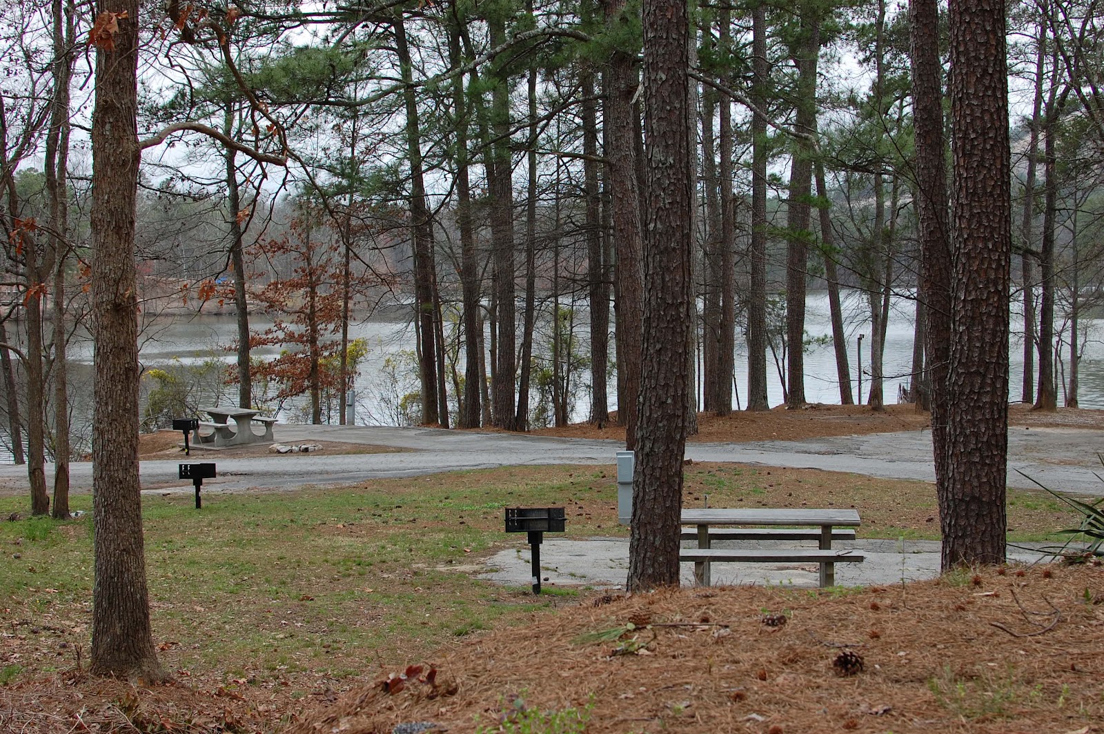 Shanna's Adventures Campsite Selection at Stone Mountain Park Campground