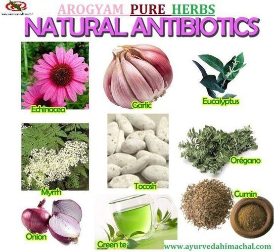 What Natural Resources Did The Pueblos Use What Natural Resources Did The Pueblos Use