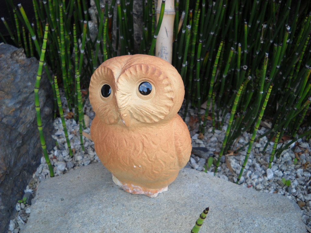 Daily Glimpses Of Japan Fukurou 梟 Owl And Its Meaning In Japan