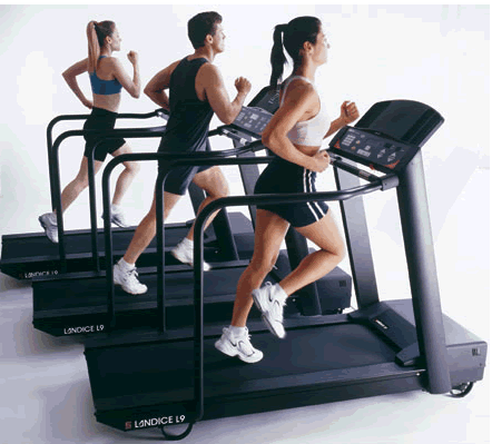 Gym & Fitness Equipment | Exercise.