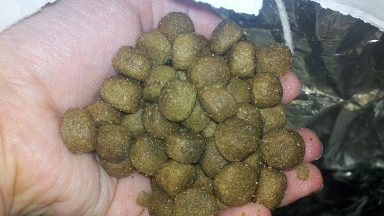 Good Dog Probiotics Good Dog Probiotics
