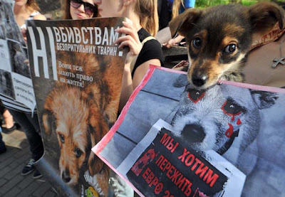 Protesta Eurocopa 2012 matanza de perros ShurKonrad
