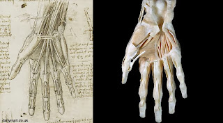 #ArtikelSeni : membedah mayat agar dapat mengerti anatomi tubuh manusia Biografi Leonardo da Vinci