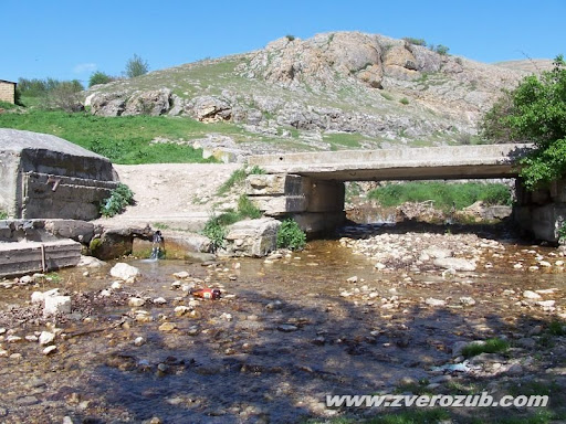 Родник в селе Дружное, Крым