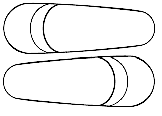 Eloquent image pertaining to printable turkey feathers Modest image pertaining to printable turkey feathers