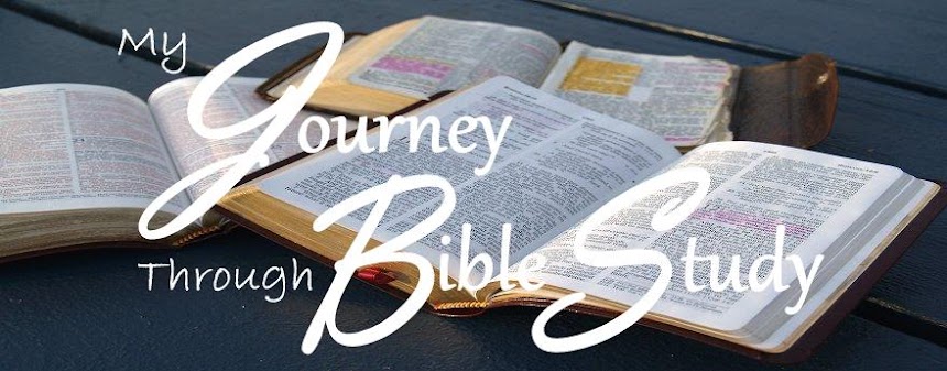 My Journey Through Bible Study