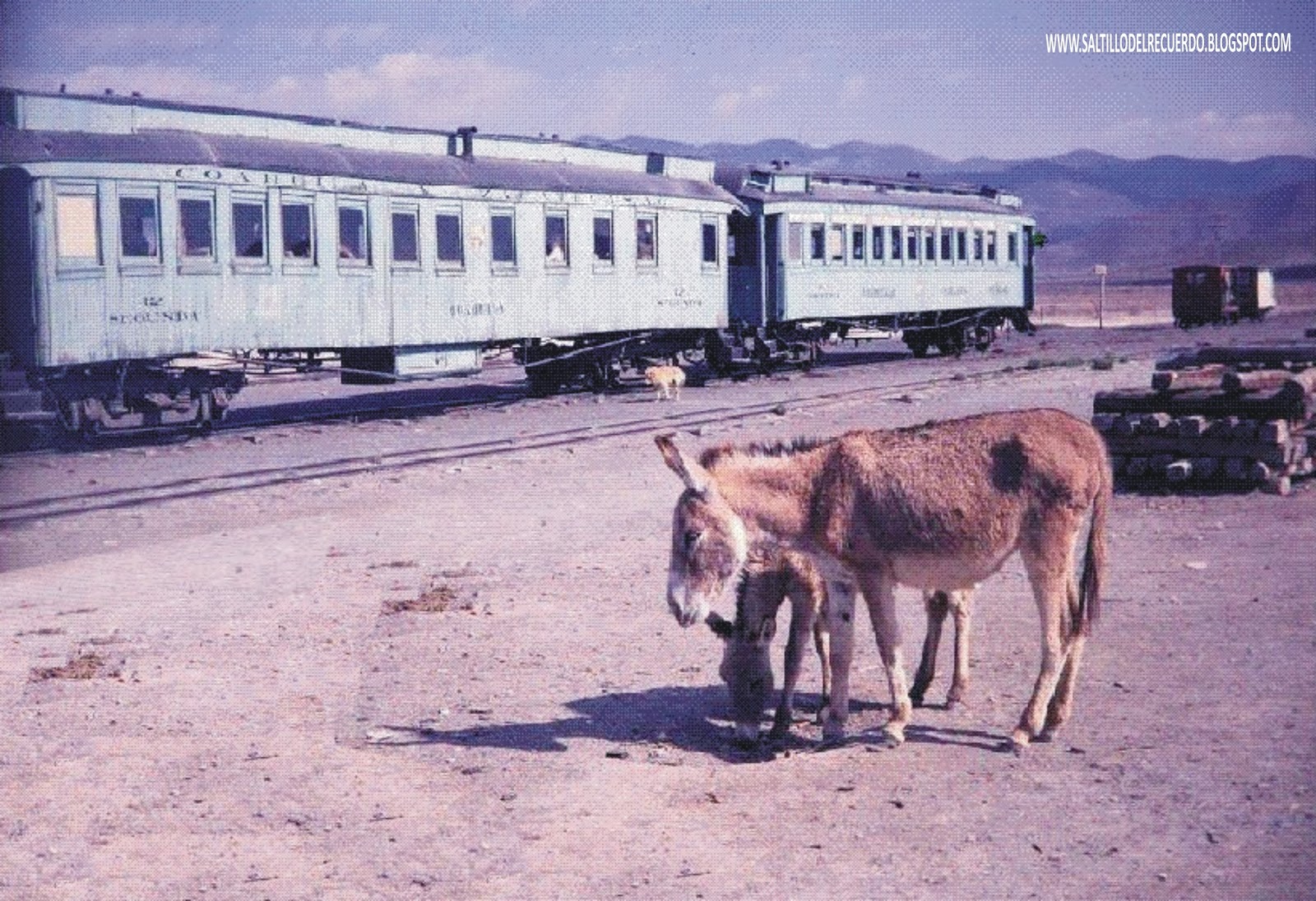SALTILLO DEL RECUERDO EL COAHUILA Y ZACATECAS, EL TREN DEL PUEBLO...!!!