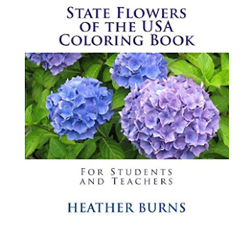 State Flowers of the USA Coloring Book