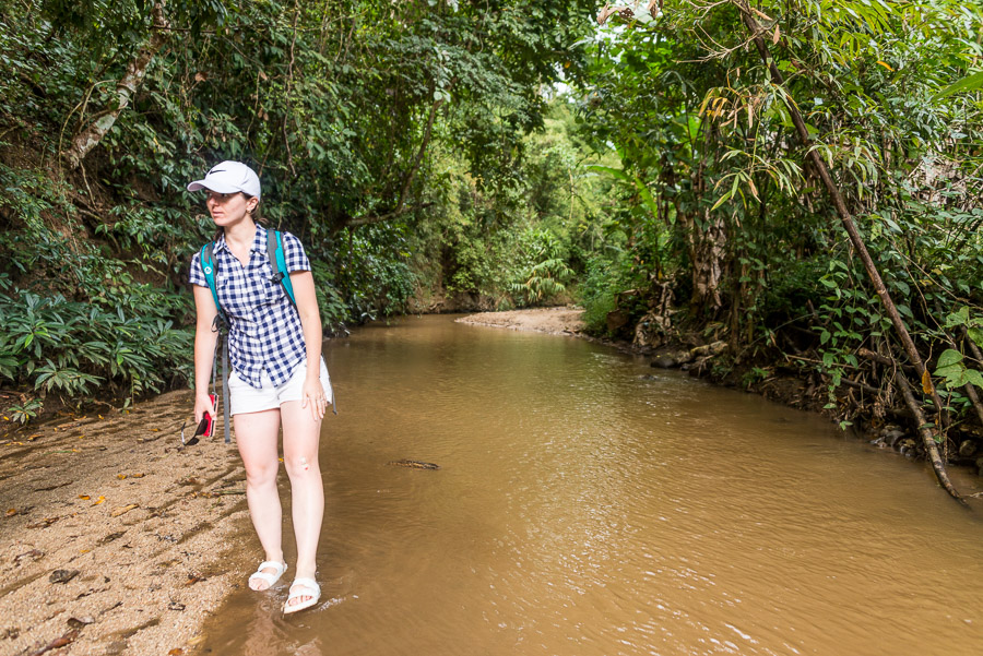 A trip to the neighborhood of the Pai