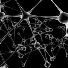 El cerebro juega un papel importante en la obesidad y en la diabetes