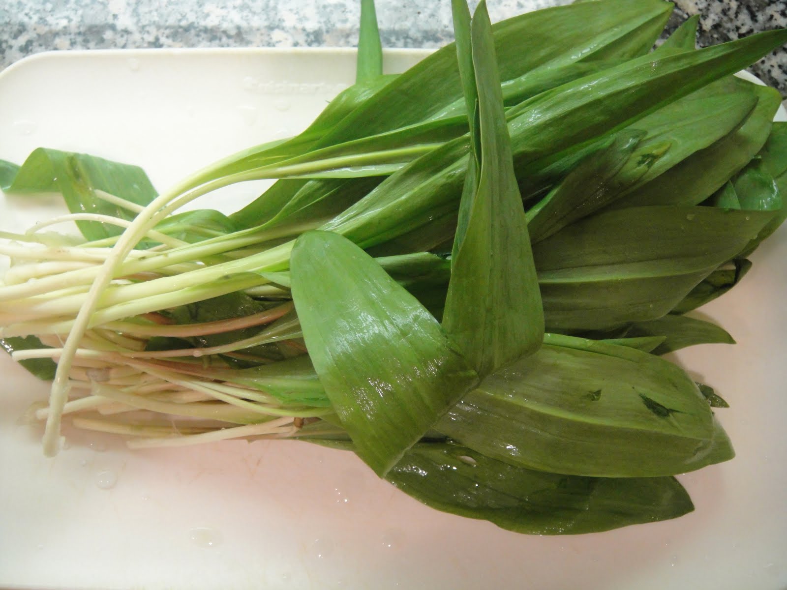 FOODYHOLIC'S Choice RAMPS A very seasonal vegetable