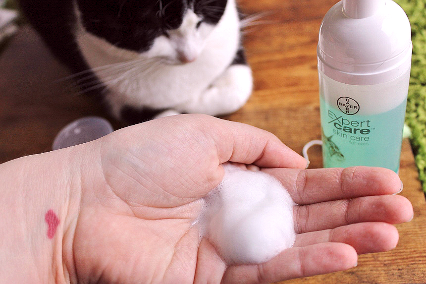 Your cat endures enough- Make bath time more amicable with Bayer® ExpertCare™ personal helath and grooming products at home. Find them at PetSmart. #BayerExpertCare AD