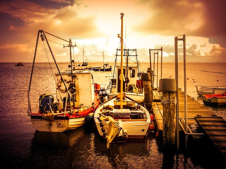 Eintagsliebe Liebeslyrik Liebesgedichte Liebespoesie 2014