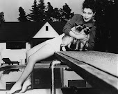 El gato de Ava Gardner