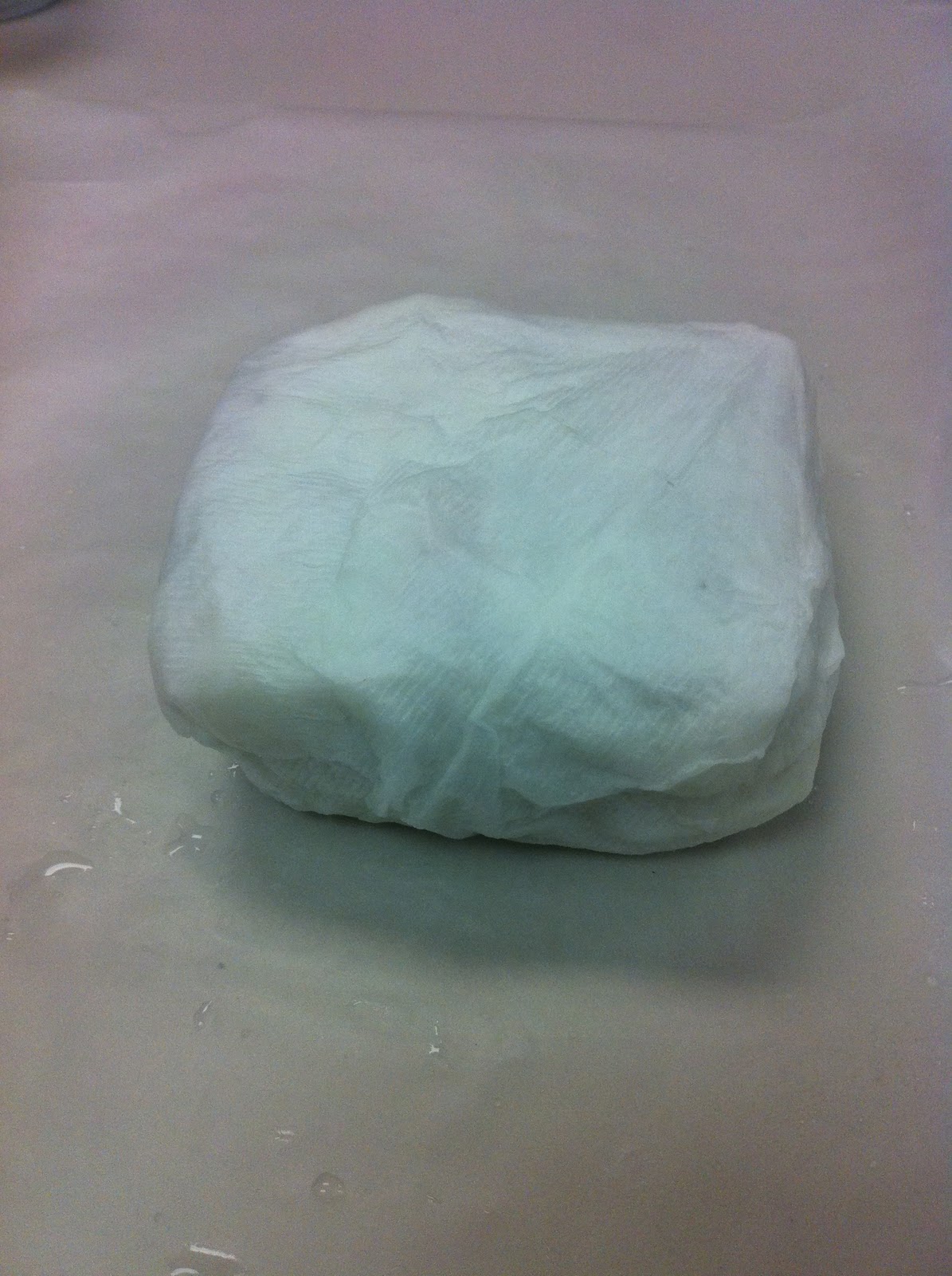 Planting Ideas Toilet Paper Sculpture by Melanie Payne