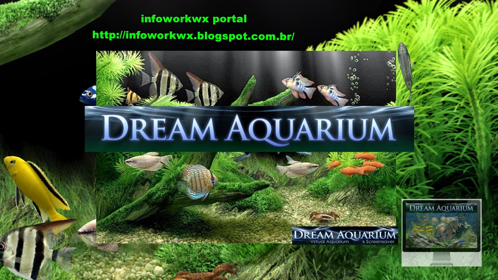 Dream Aquarium Screensaver Serial Number