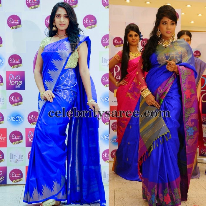 Palam Silk Sarees in Blue Saree Blouse Patterns