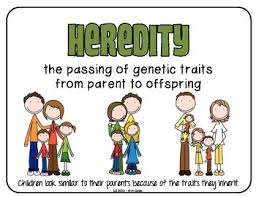 heredity and environment pdf