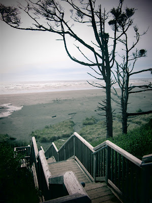 Set of stairs at Seabrook Island that inspired David Shuler of Seattle Stair & Design.