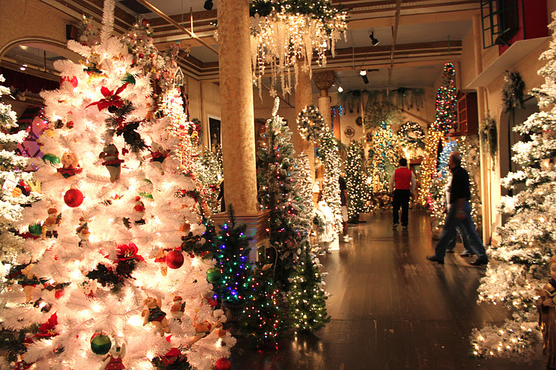 In and Out My Nest Pasadena Stats