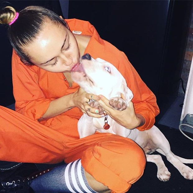 Miley Cyrus kissing dog in the mouth: what to talk about on the social network Miley Cyrus kissing dog in the mouth: what to talk about on the social network
