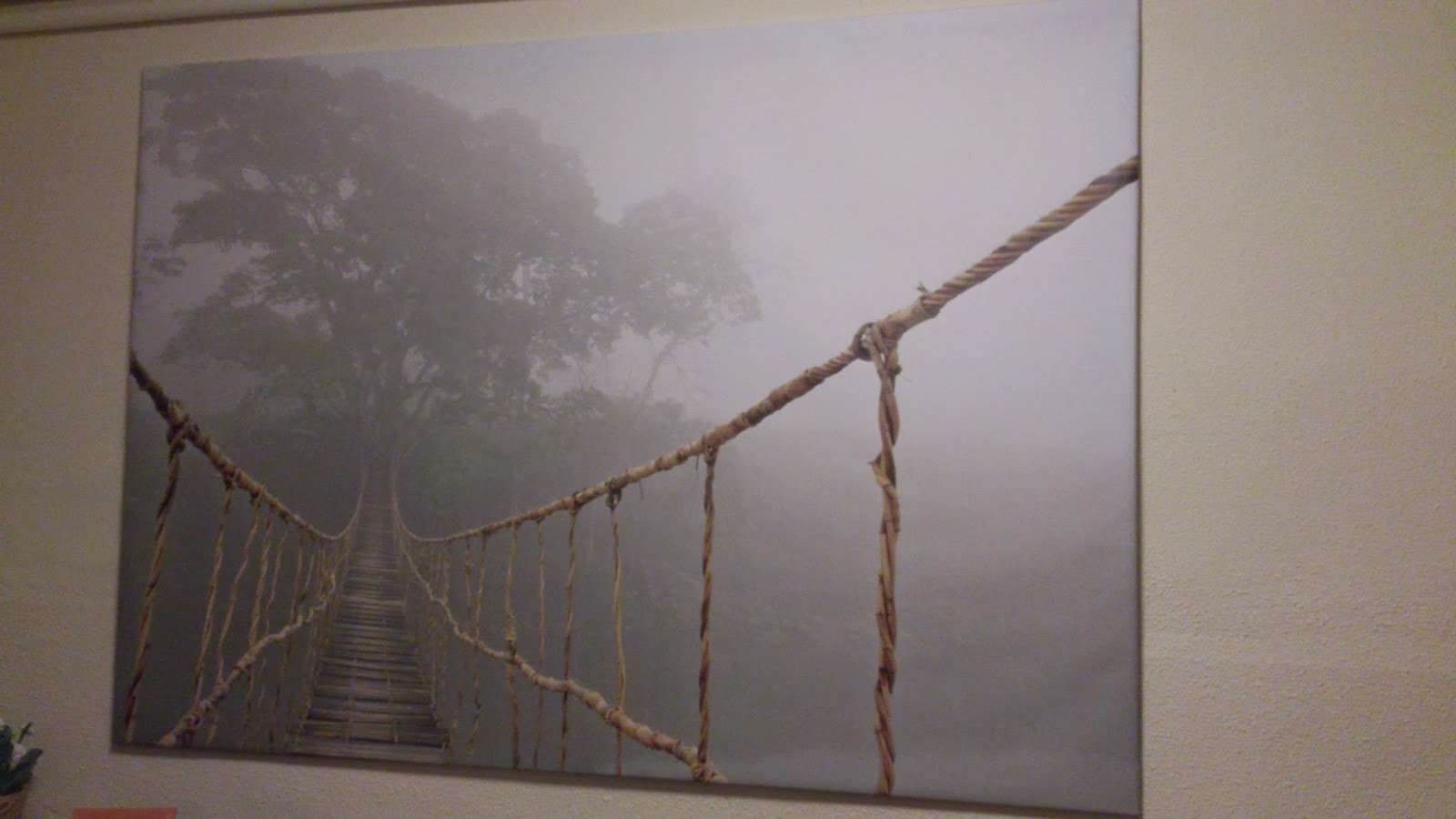 DECO El cuadro del puente de Ikea. El viaje por la jungla de Skip Nall // Bridge picture of