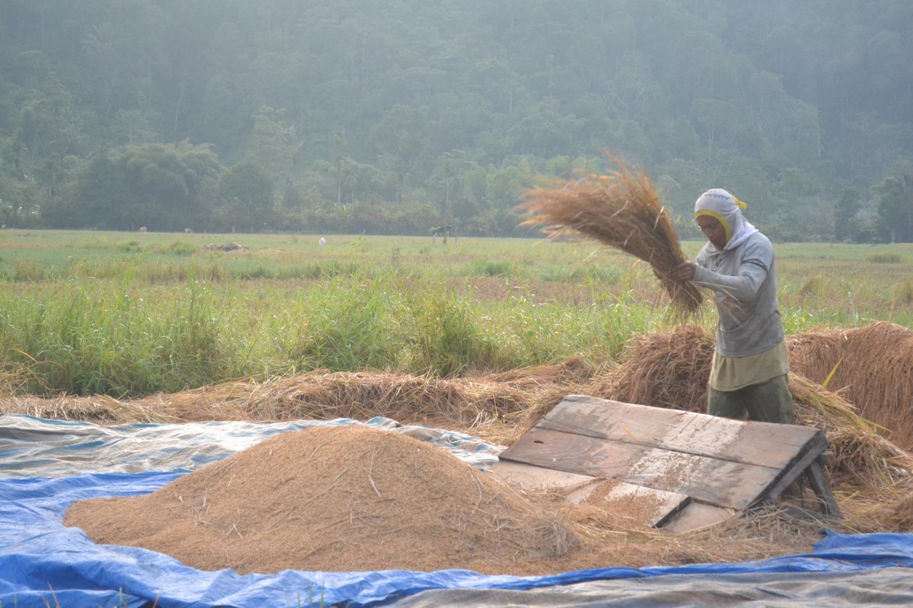 Arang Memandirikan Masyarakat Terpencil