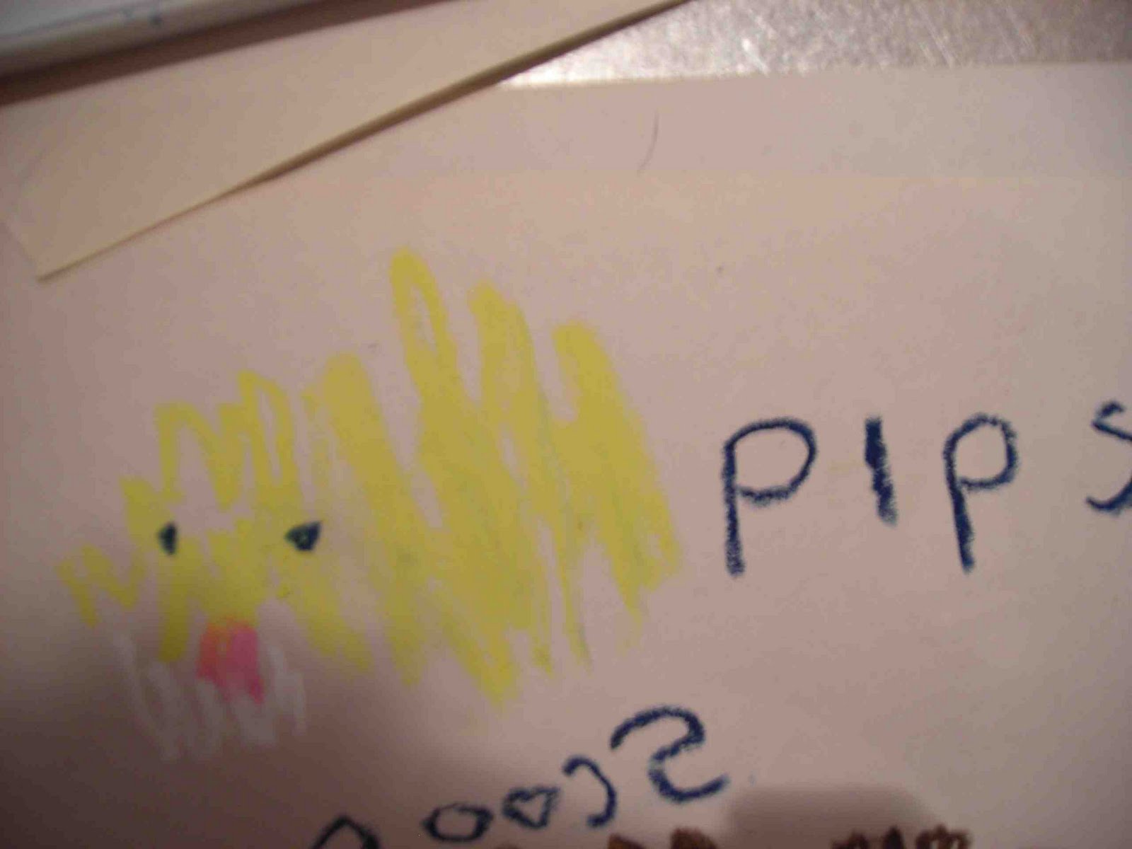 maureen's blog Zuzu pets