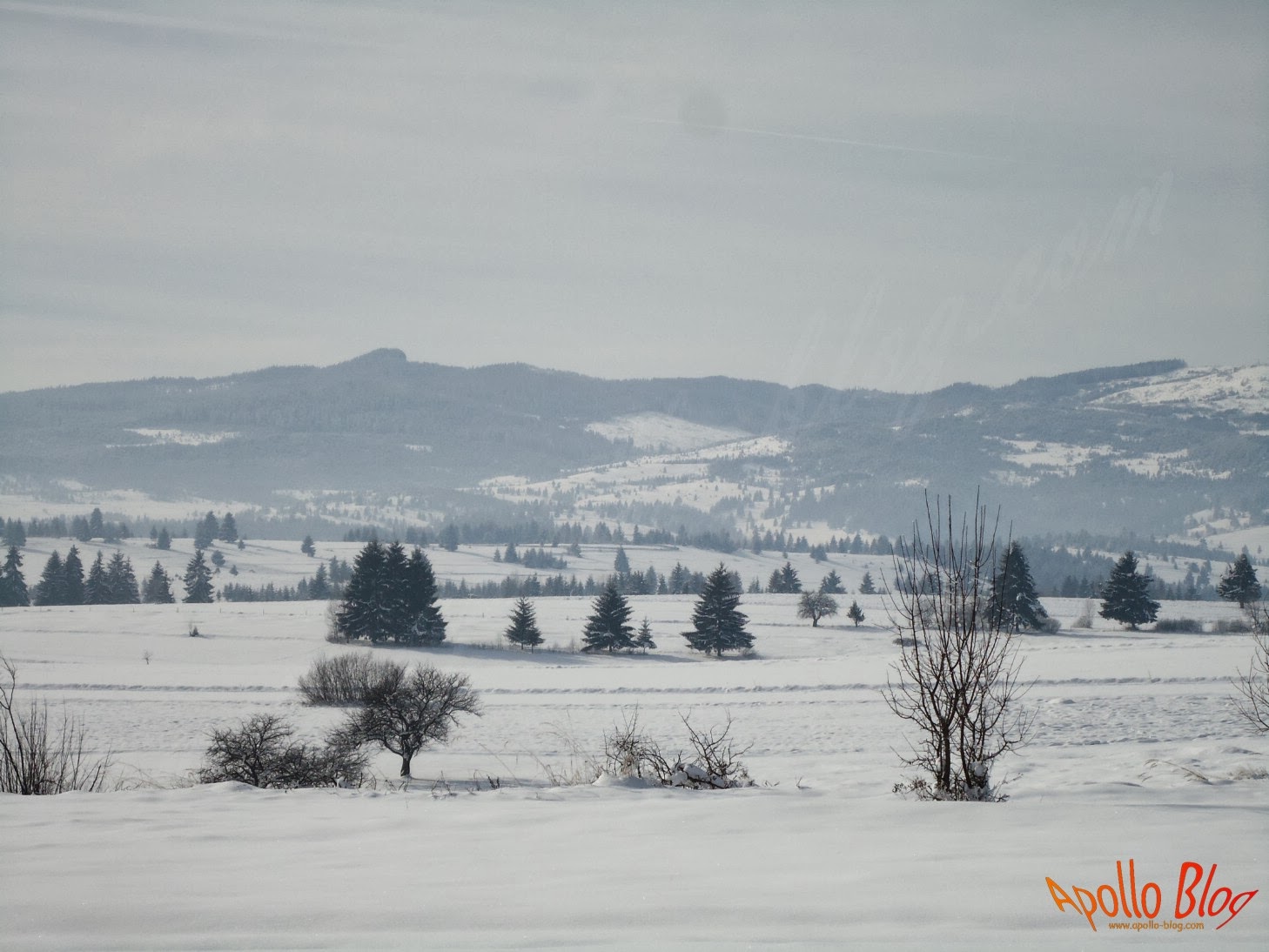Peisaj de iarna in satul Filpea