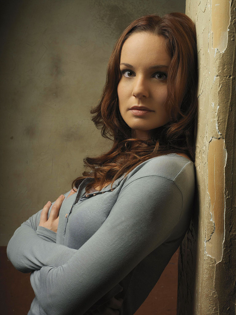 Sarah Wayne Callies Photos | Tv Series Posters and Cast