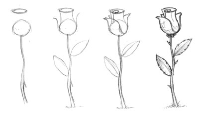 Corso di grafica e disegno per imparare a disegnare: imparare a ... Rose da disegnare facili